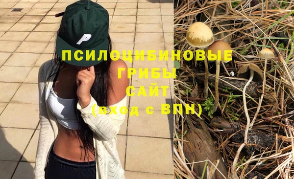скорость Алексеевка
