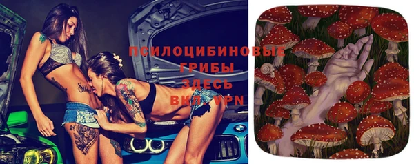 ПСИЛОЦИБИНОВЫЕ ГРИБЫ Нефтекумск